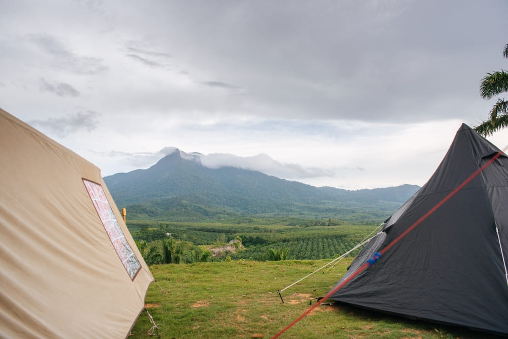 Khao Phanom Bencha National Park